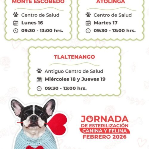 Ofrece Secretaría de Salud de Zacatecas esterilizaciones caninas y felinas en Monte Escobedo, Atolinga y Tlaltenango