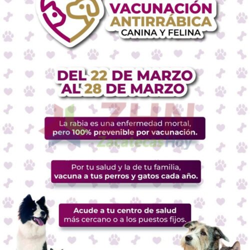 Programa SSZ jornada de vacunación antirrábica canina y felina