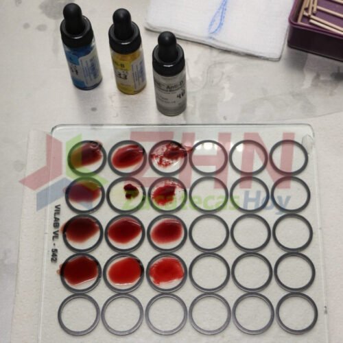 Hoy 17 de abril se conmemora el Día Mundial de la Hemofilia