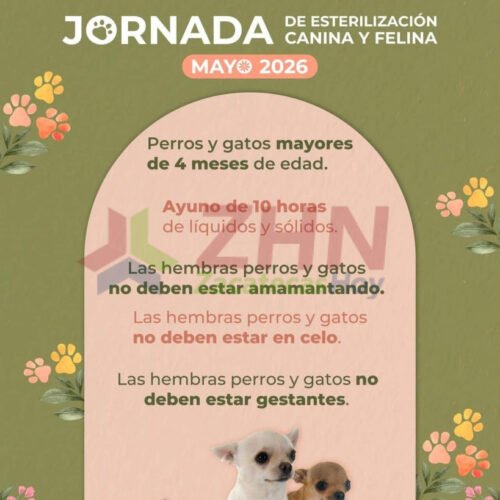 SSZ llevará servicios de esterilización canina y felina a Villa de Cos