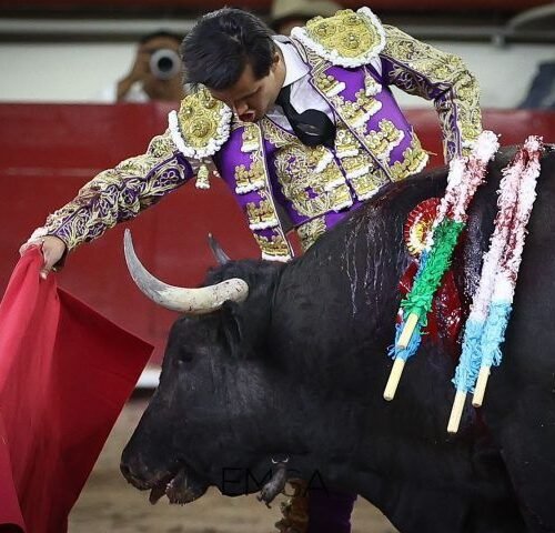 El temple que marca el pulso