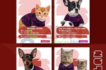 SSZ esterilizará mascotas en Miguel Auza, Río Grande, Juchipila y Tabasco