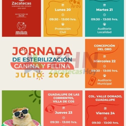 Esterilizará SSZ mascotas de manera gratuita en Moyahua, Nochistlán, Villa de Cos y Guadalupe
