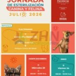 Ofrece Gobierno de Zacatecas cirugías de esterilización de animales de compañía en Tlaltenango, Monte Escobedo y Jerez