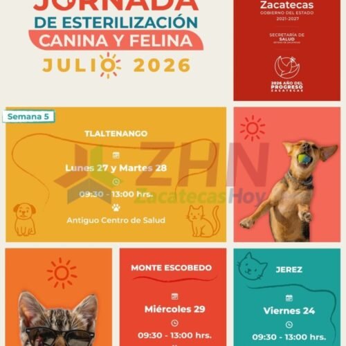 Ofrece Gobierno de Zacatecas cirugías de esterilización de animales de compañía en Tlaltenango, Monte Escobedo y Jerez