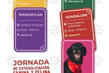Brigada de Esterilización Canina y Felina de la SSZ visitará Santa María de la Paz, Tepechitlán, Susticacán y Guadalupe