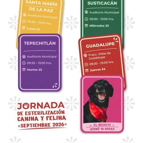 Brigada de Esterilización Canina y Felina de la SSZ visitará Santa María de la Paz, Tepechitlán, Susticacán y Guadalupe