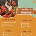 Brigada Permanente de Esterilización Canina y Felina de la SSZ visitará Juan Aldama, Río Grande, Jalpa y Tabasco