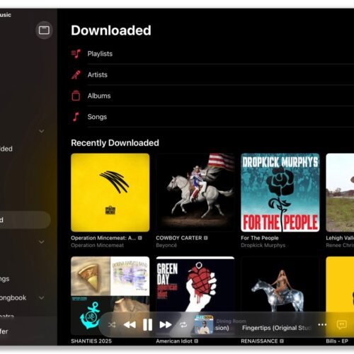 Cómo escuchar tu música favorita, ya sea en línea o sin conexión